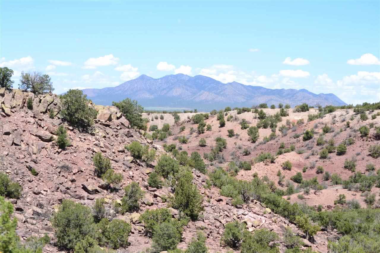 East Mountains Land For Sale near Albuquerque, New Mexico « Cindy Sheff