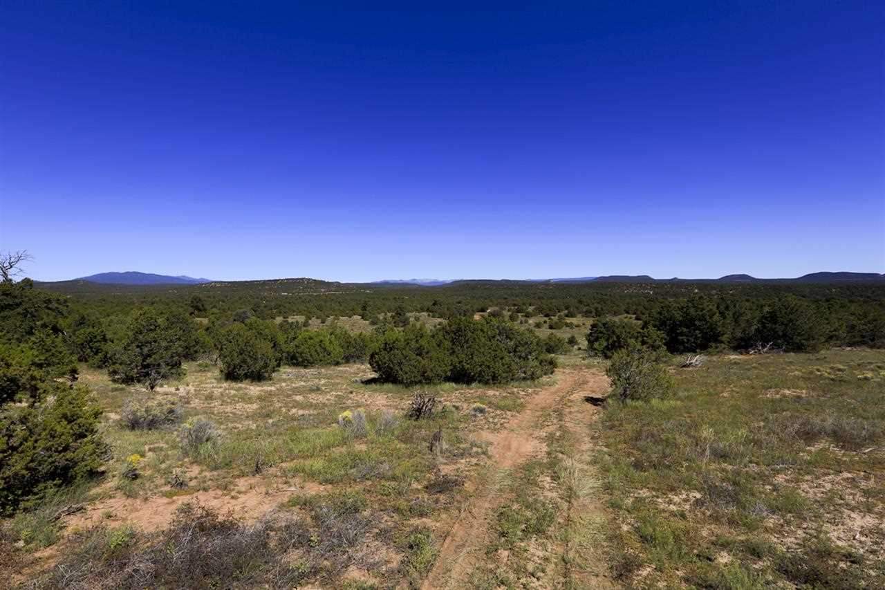 Land for Sale in Pecos & Glorieta New Mexico
