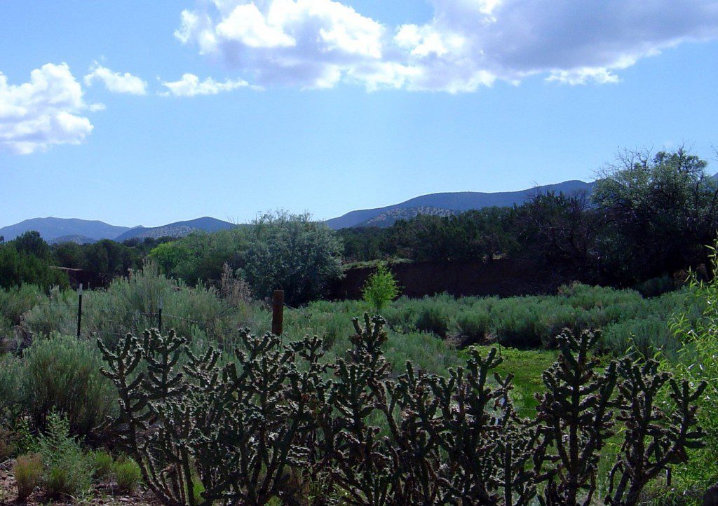 Photo Gallery East Mountains near Albuquerque, New Mexico « Cindy Sheff