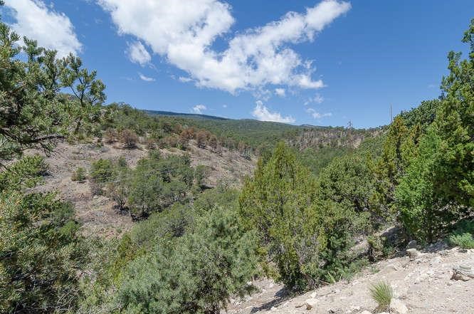 Cedar Crest, New Mexico Homes and land for Sale « Cindy Sheff Turquoise ...