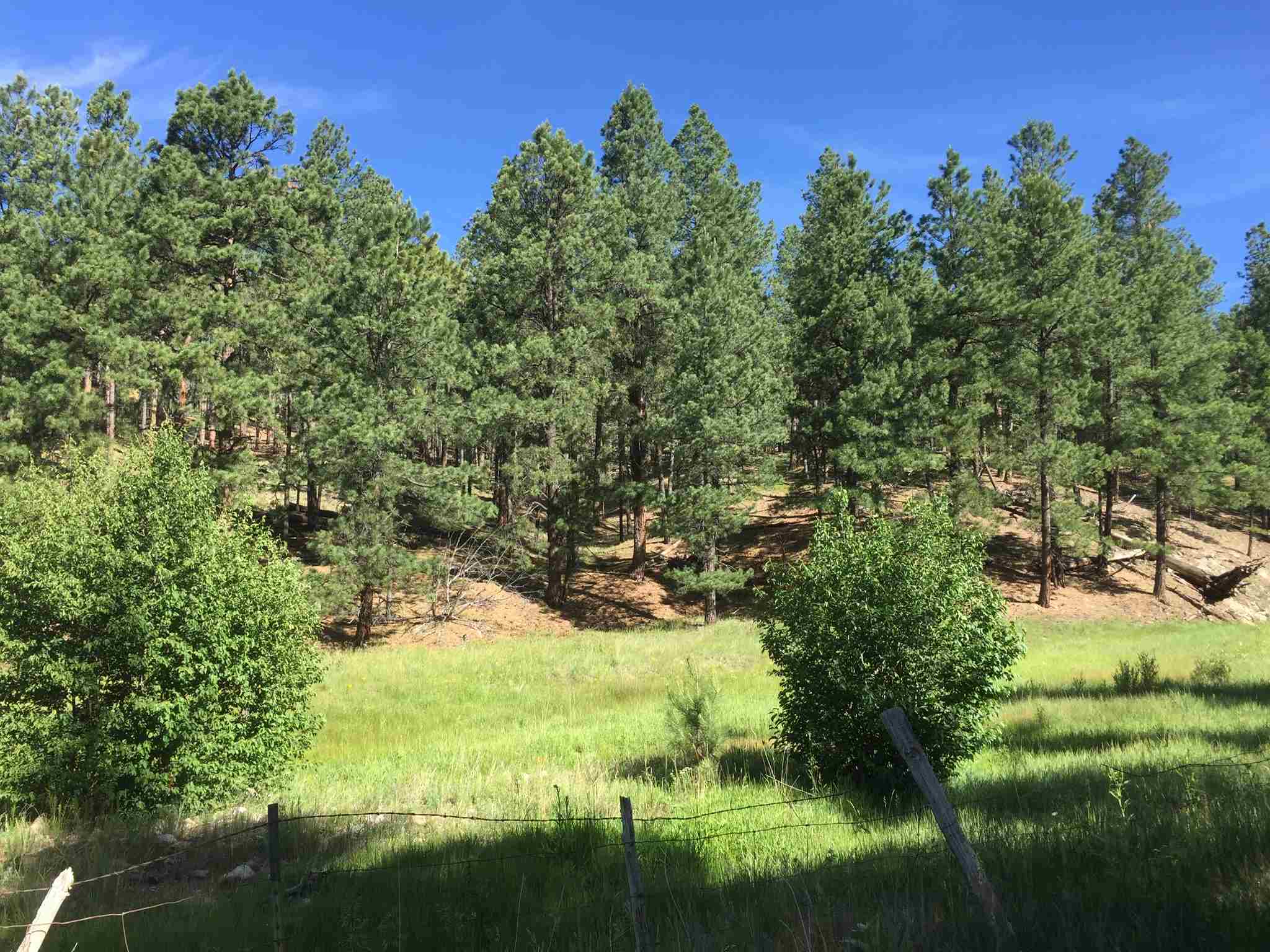 Land for Sale in Pecos & Glorieta New Mexico